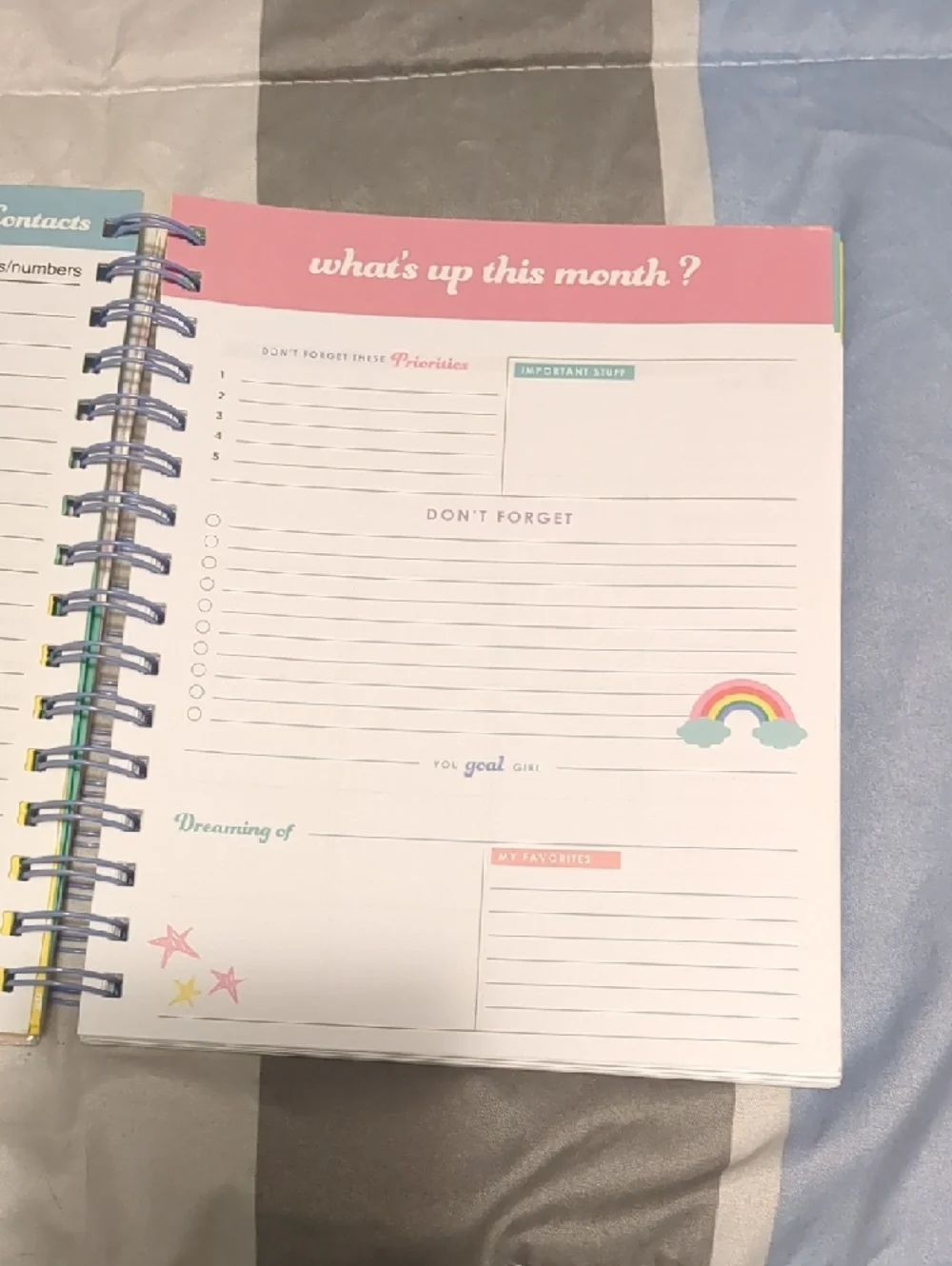 More Than Magic Pink Plaid Spiral Undated Planner Purple Flocked Hand-Lettering